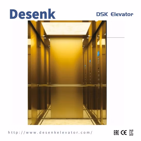 Desenk Home Elevator Passenger Elevator with Machine Roomless