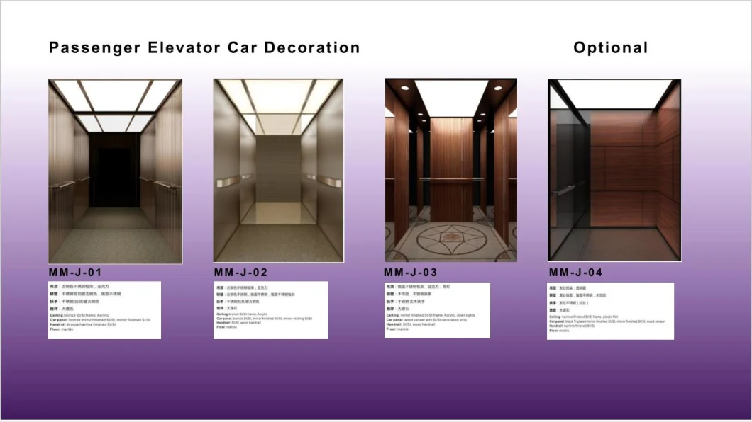 Machine Roomless Building Passenger Elevator with CE