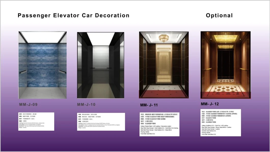 Machine Roomless Building Passenger Elevator with CE