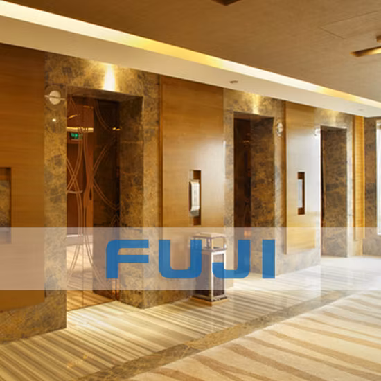 Mirror Etching Residential Passenger Lift Elevator for Building and Home