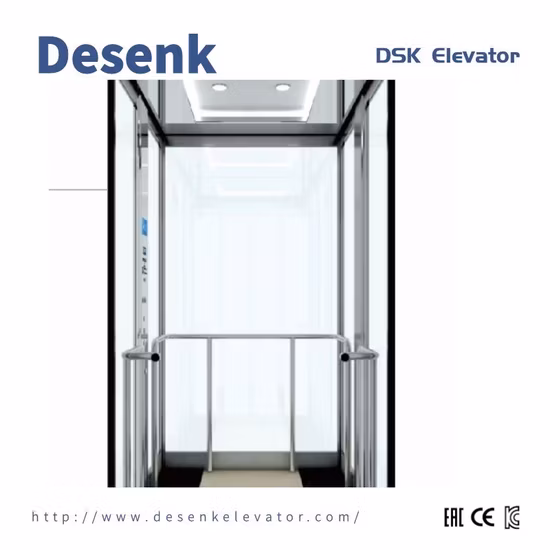 Desenk Home Elevator Passenger Elevator with Machine Roomless