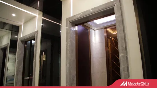 Pequeña sala de máquinas Desenk Ascensor de pasajeros residencial Villa Ascensor con bajo precio de ascensor